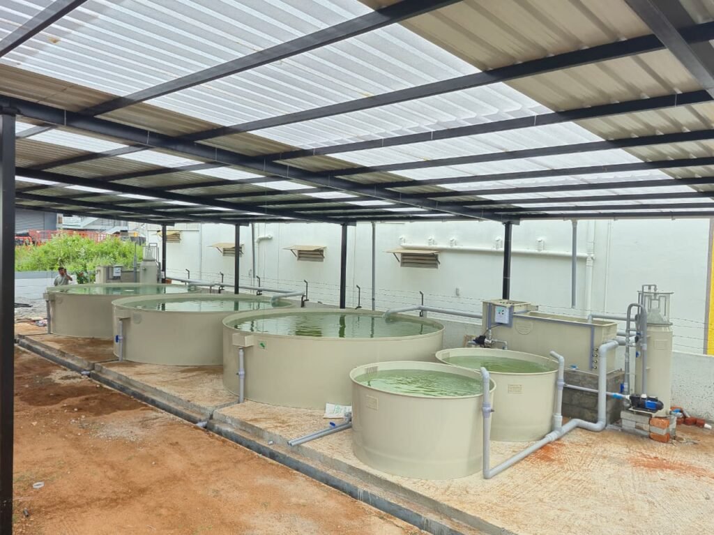 Ras system
